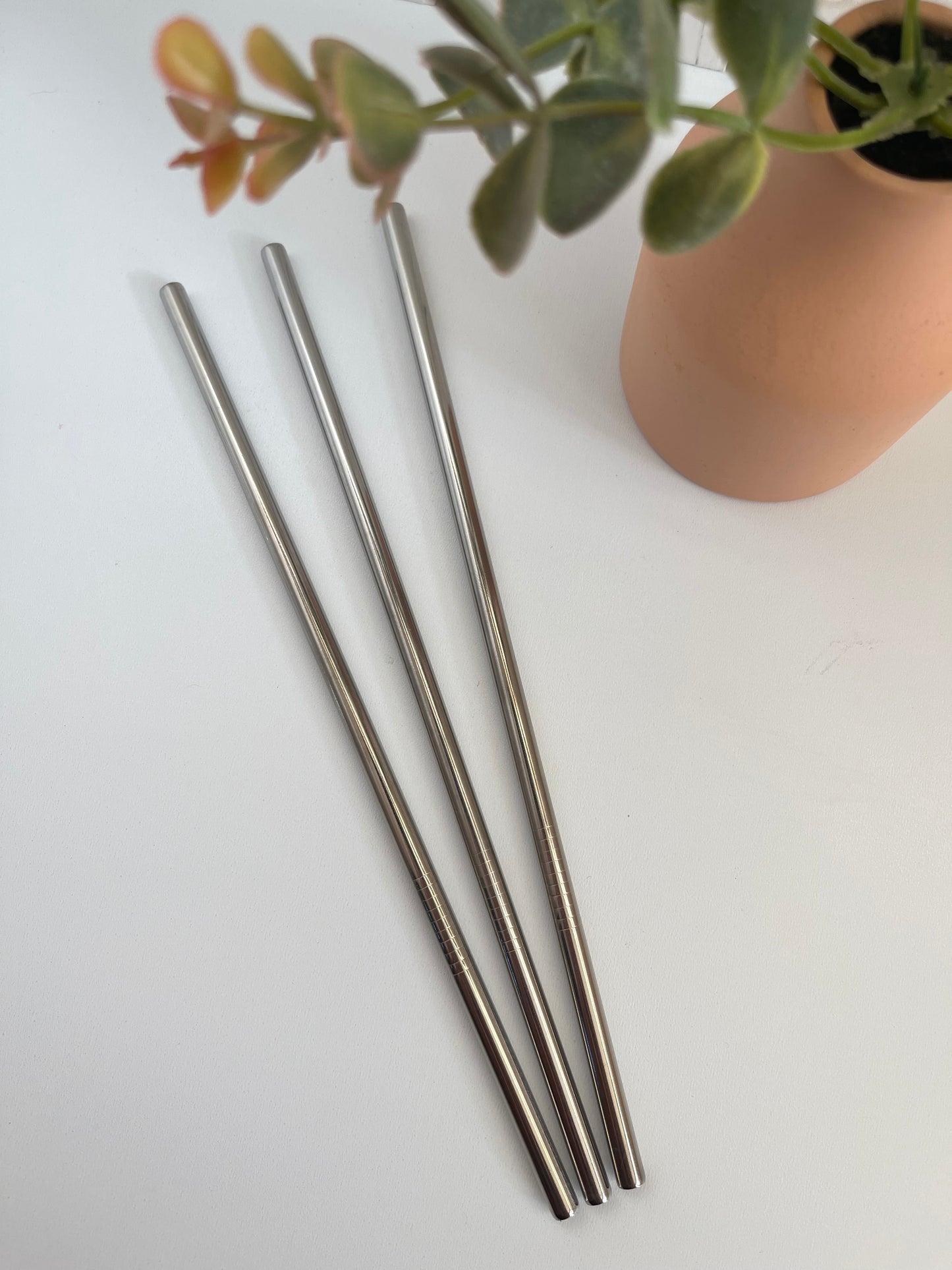 Stainless Steel Straws